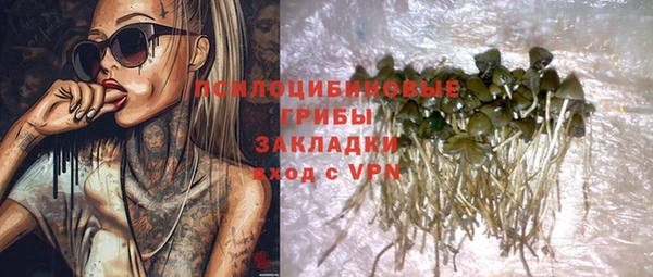 наркотики Белокуриха